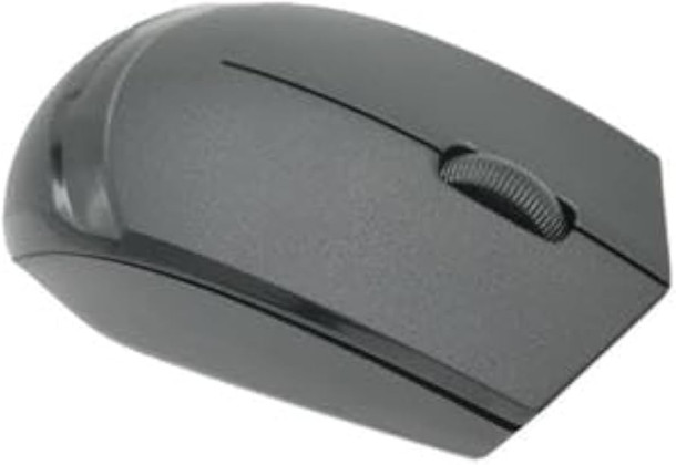 Rizyue 2.4GHz Wireless Mouse (T15) - Portable Ergonomic Design, Adjustable DPI, Quiet Clicking, Compatible with PC/Laptop/Mac 6976020360049