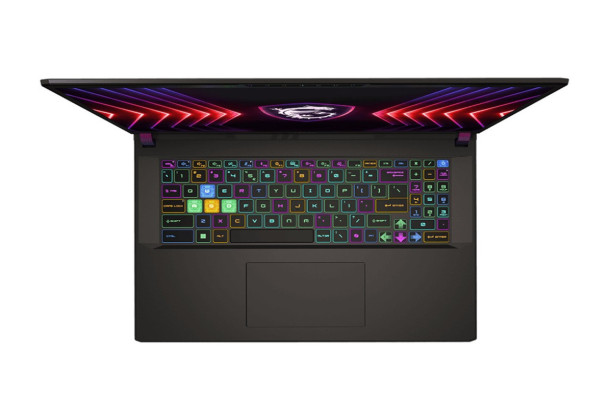 MSI Vector 17 HX A14VHG Gaming Laptop, Intel Core i9-14900HX, 1TB NVMe PCIe Gen4 SSD, 32GB RAM, 17 Inch, QHDPlus, 240Hz, NVIDIA GeForce RTX 4080 12GB, Windows 11 - Cosmos Grey