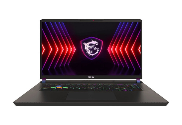 MSI Vector 17 HX A14VHG Gaming Laptop, Intel Core i9-14900HX, 1TB NVMe PCIe Gen4 SSD, 32GB RAM, 17 Inch, QHDPlus, 240Hz, NVIDIA GeForce RTX 4080 12GB, Windows 11 - Cosmos Grey